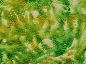Lynnette Gladding Artist Abstract Gallery Image