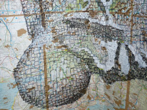 Lynnette Gladding Artist Nemo Picture
